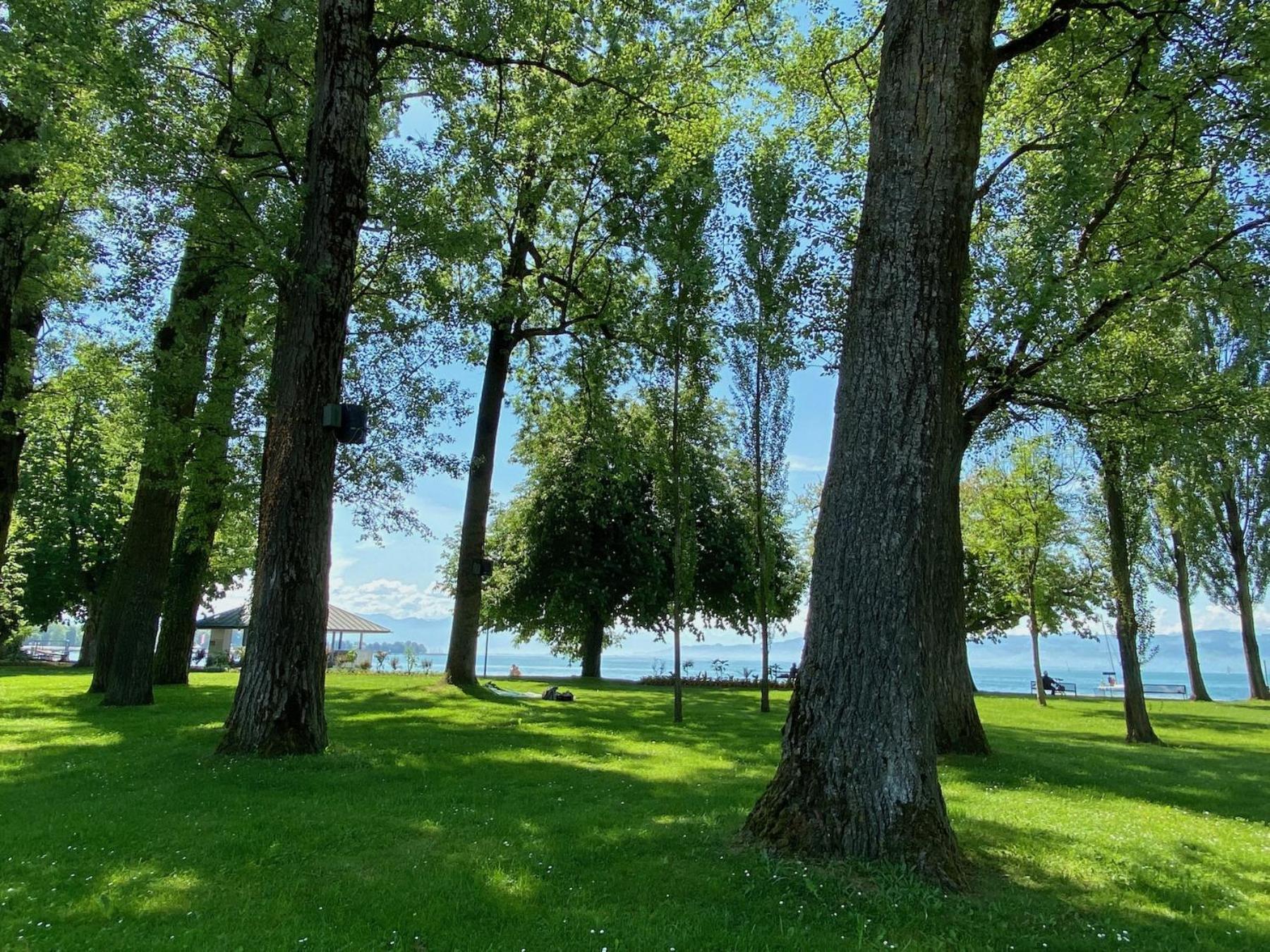 Ferienwohnung Fischerpromenade Кресброн ам Бодензее Екстериор снимка